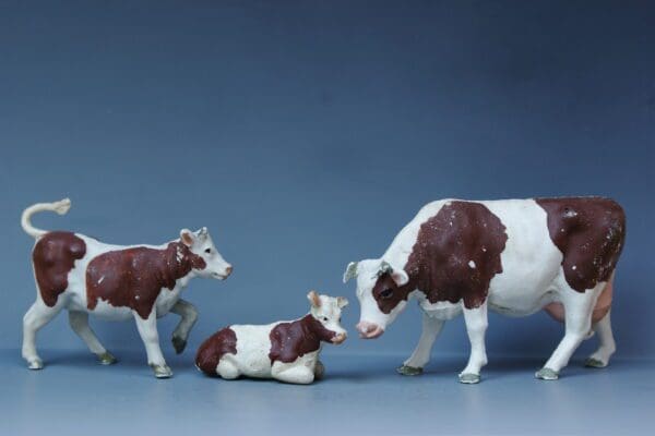 SOLD Herald Ayrshire Feeding Cow & Calves - Loose Set