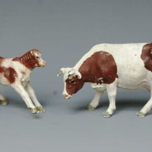 Herald Ayrshire Cow Feeding & Bull Calf Frisking (BROWN Markings)