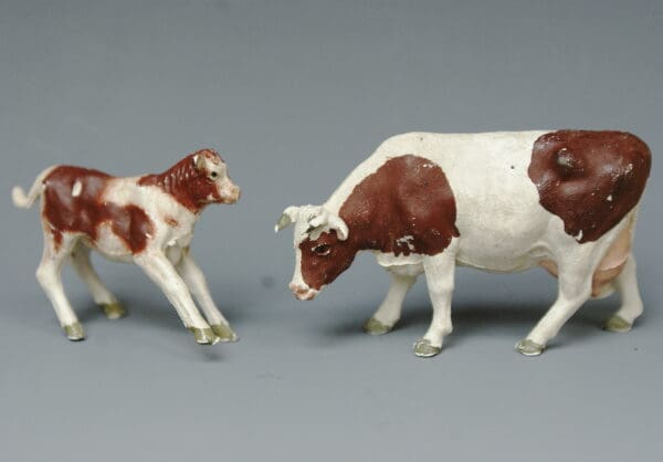 Herald Ayrshire Cow Feeding & Bull Calf Frisking (BROWN Markings)