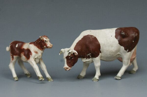 Herald Ayrshire Cow Feeding & Bull Calf Frisking (BROWN Markings) - Image 4