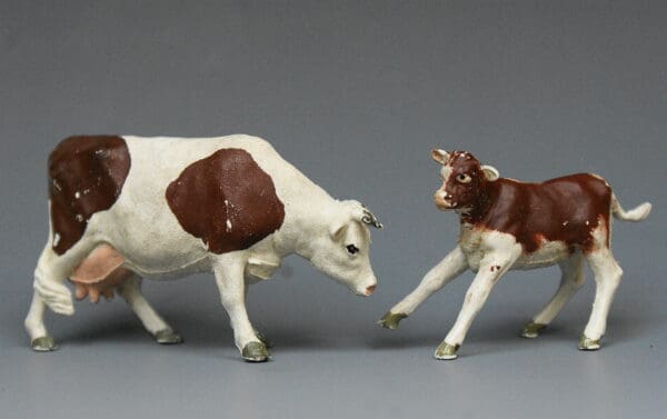Herald Ayrshire Cow Feeding & Bull Calf Frisking (BROWN Markings) - Image 3