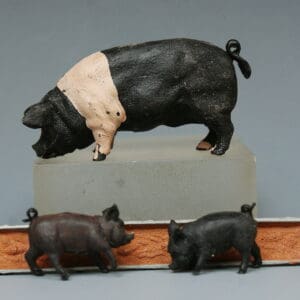 Herald Saddleback Boar, Piglets and Trough