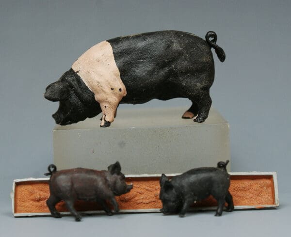 Herald Saddleback Boar, Piglets and Trough
