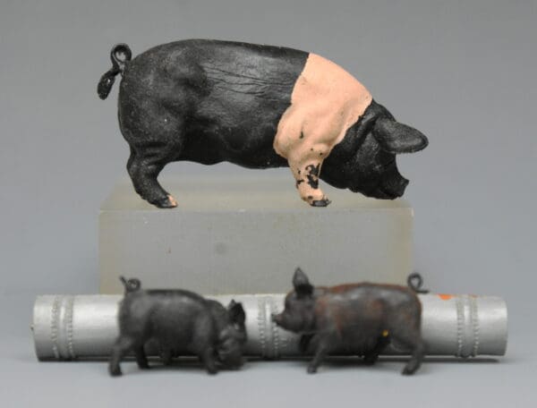 Herald Saddleback Boar, Piglets and Trough - Image 2