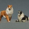 Herald Sheepdogs Lying & Running - Black & Tan Colour - Image 3