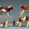 Herald Ayrshire Calves - Stencil Spray-Painted Set