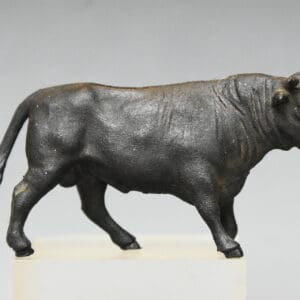 Herald Farm Black Bull with Ring in Nose (Manhattan)