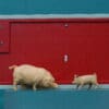 Britains Livestock Buildings: Pig Sty, Pig & Piglet - Image 2