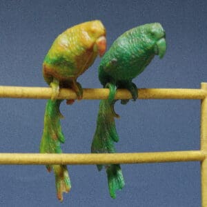 Taylor & Sons RARE Parrots (Plastic 1/32 scale)