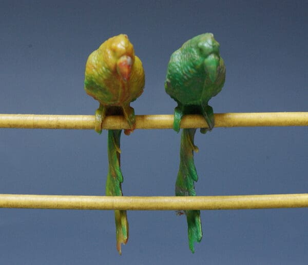 Taylor & Sons RARE Parrots (Plastic 1/32 scale) - Image 2