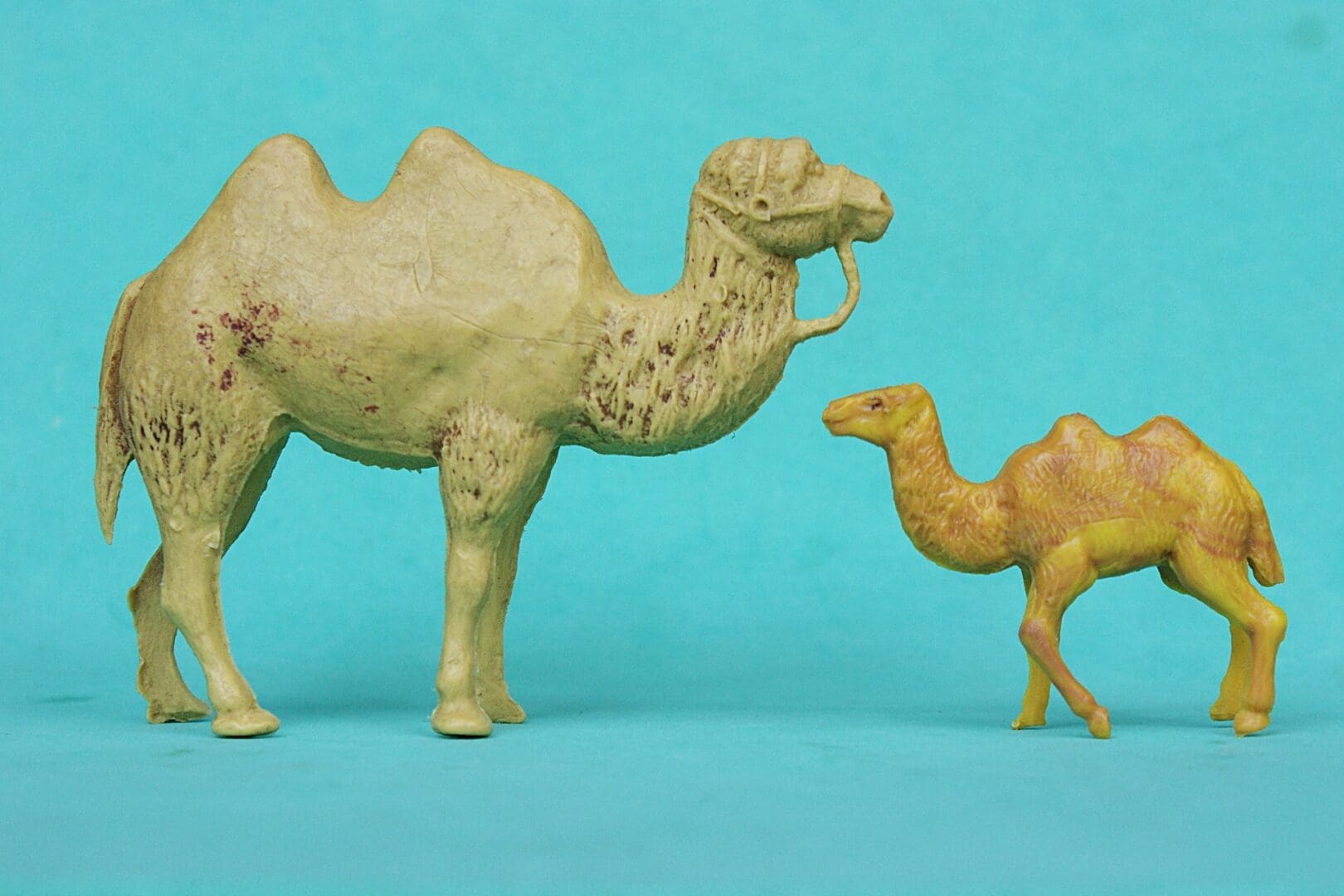 Taylor & Sons Zoo Series Baby Camel - VERY RARE! - Image 3