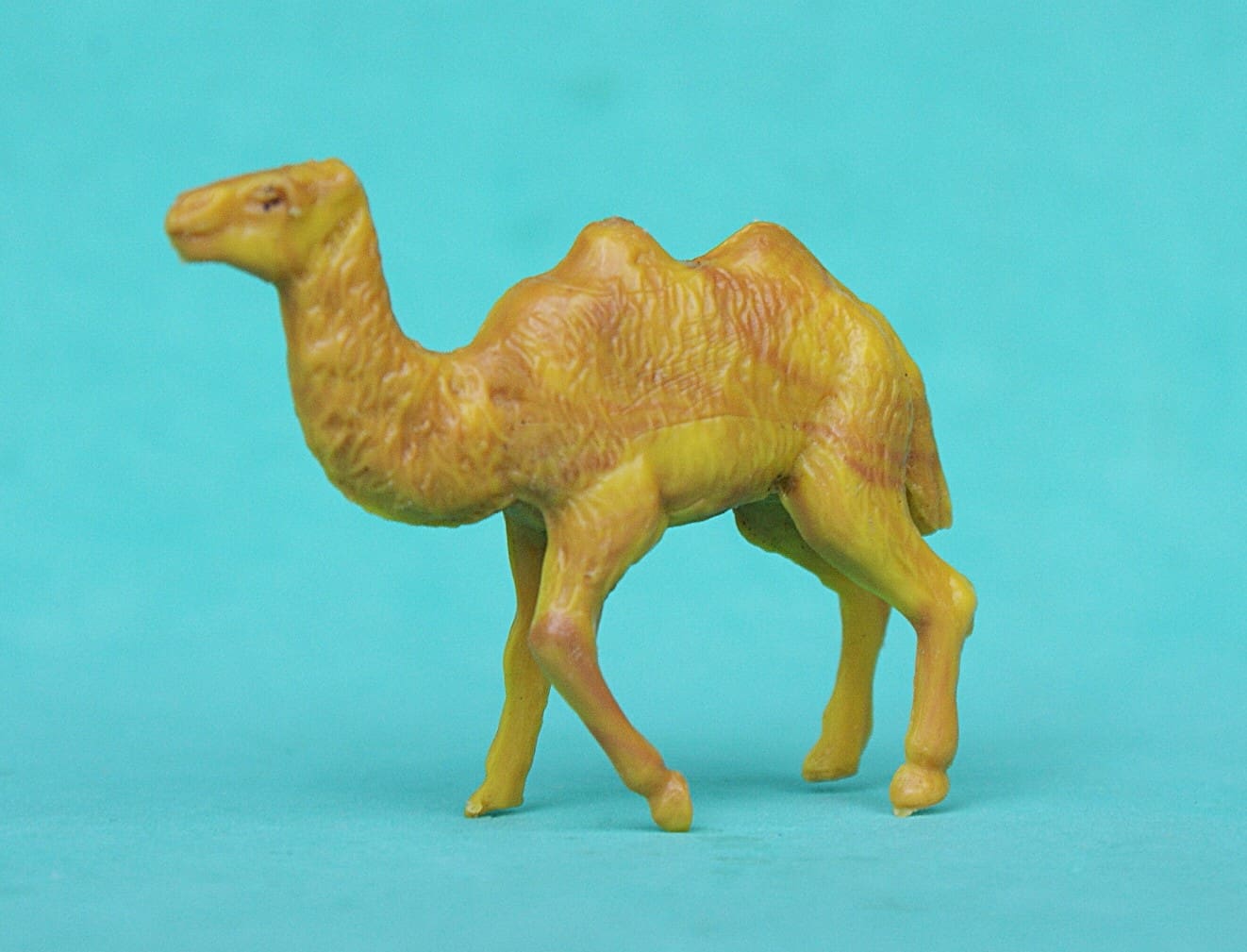 Taylor & Sons Zoo Series Baby Camel - VERY RARE!