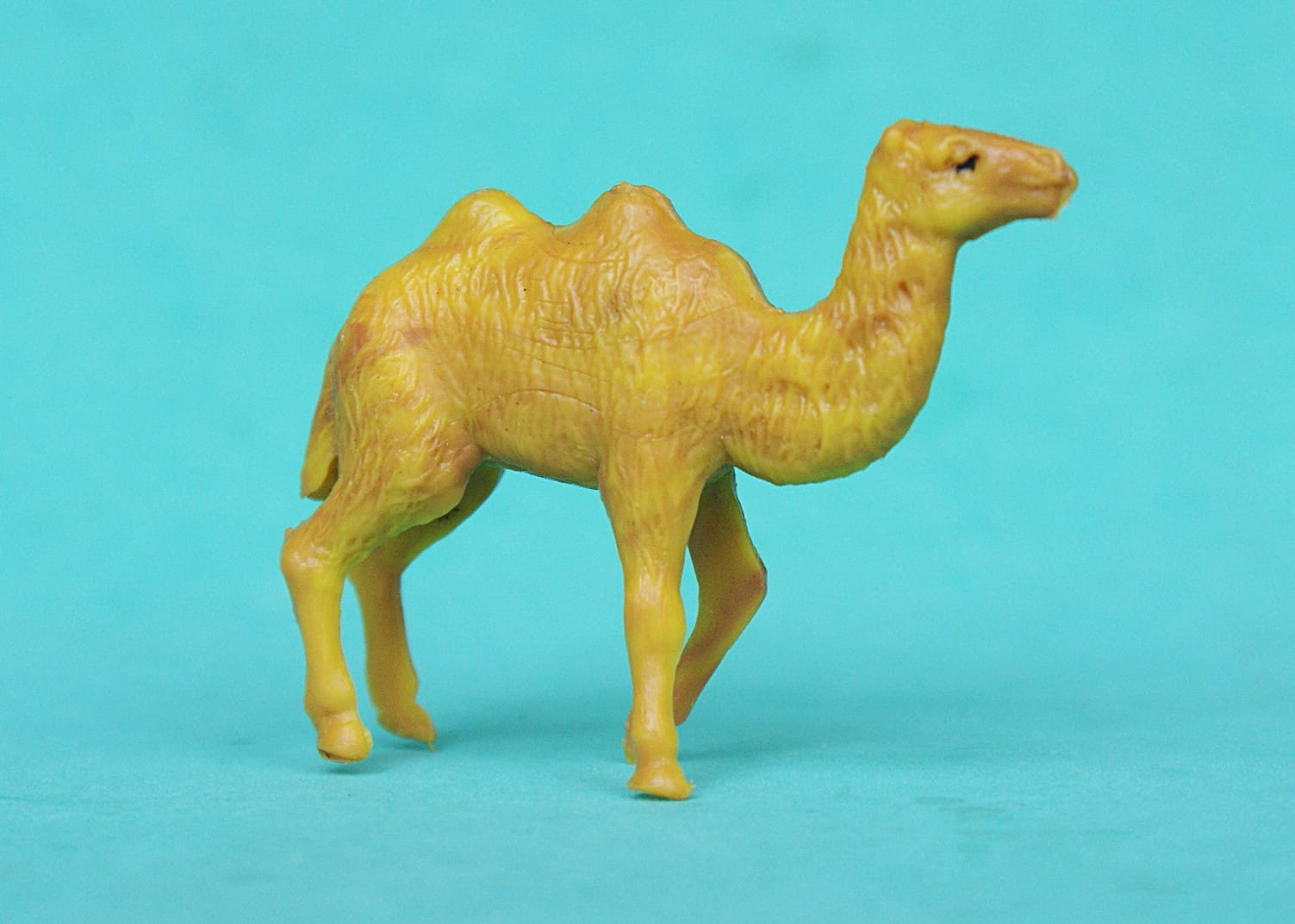 Taylor & Sons Zoo Series Baby Camel - VERY RARE! - Image 2