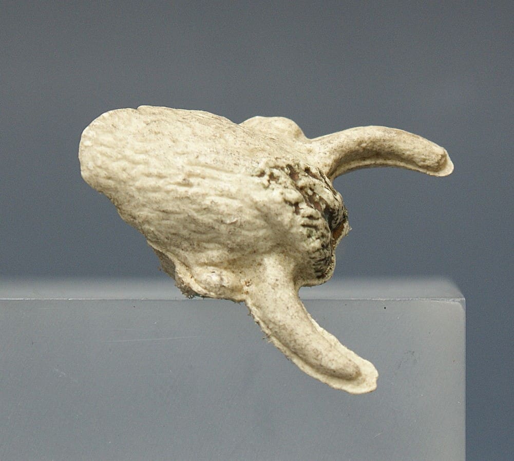 Cherilea 54mm Indians - RARE Buffalo Mask (Removable Version) - Image 3