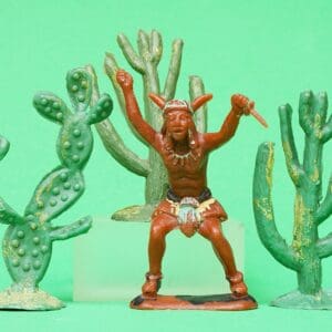 Hilco 60mm Indian and Rare Cactus Plants