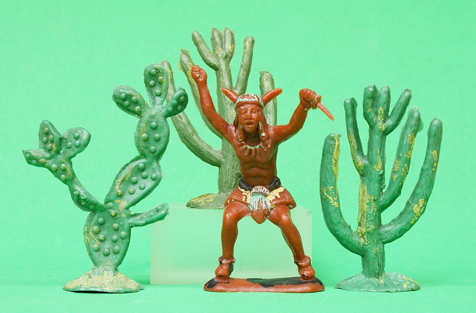 Hilco 60mm Indian and Rare Cactus Plants